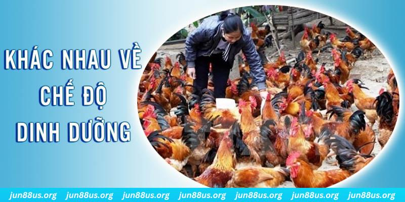 hii88 xổ số miền nam thứ năm hàng tuần