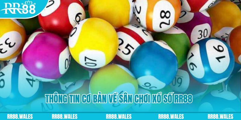 hii88 đá gà hôm nay