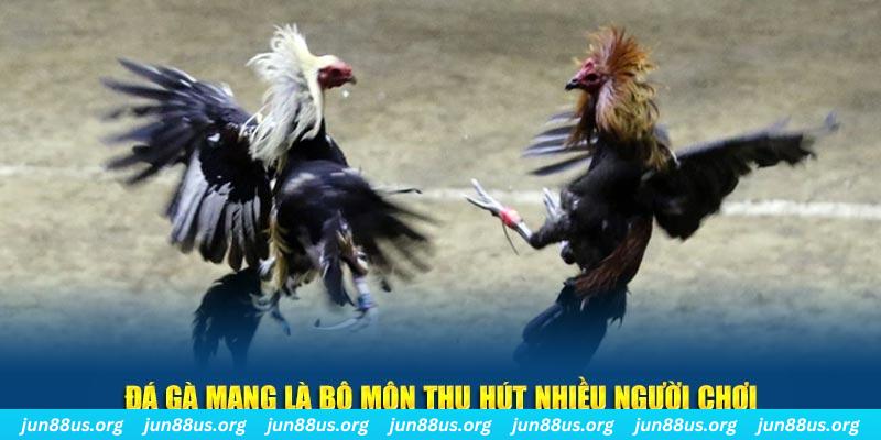 hii88 tại sao tải game bài sunwin không được