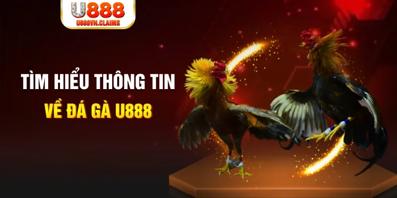 hii88 đăng nhập tiến lên miền nam hàng đầu