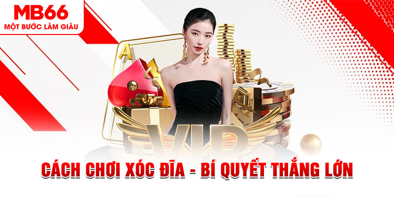 hii88 trực tiếp đá gà c1 hôm nay