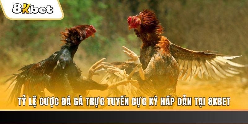 hii88 baccarat online bịp như thế nào