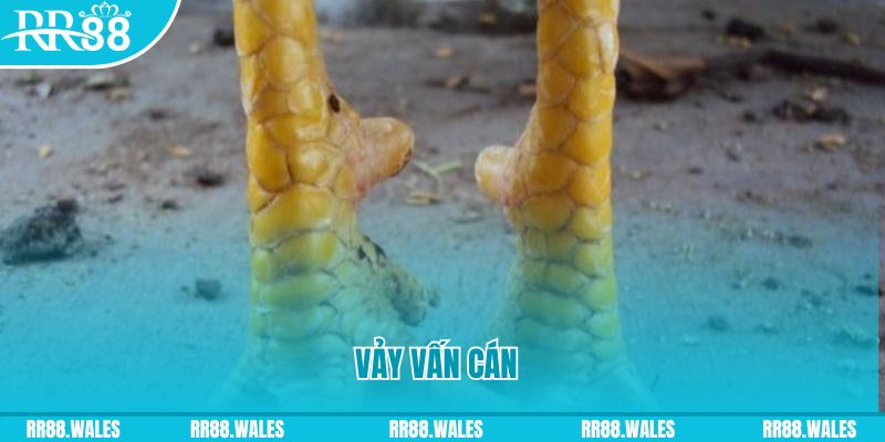 hii88 đăng nhập nổ hũ hôm nay