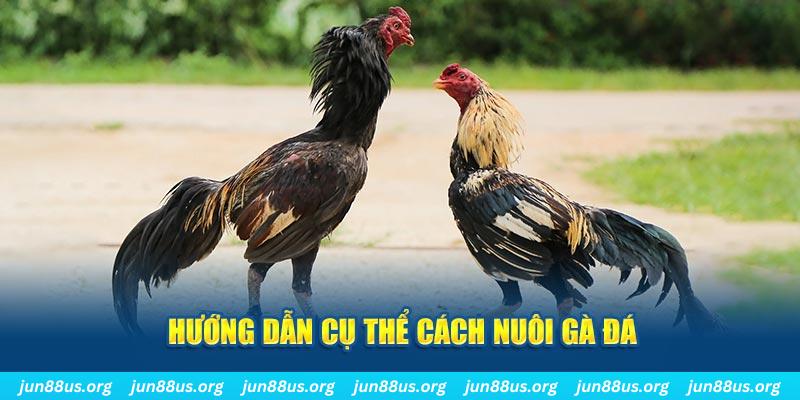 hii88 đăng nhập sòng bạc số 1