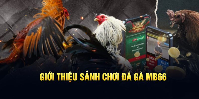 hii88 đăng nhập poker hôm nay