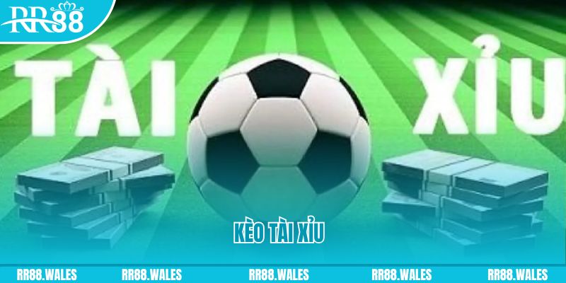 hii88 Giành Chủ Bull Bull